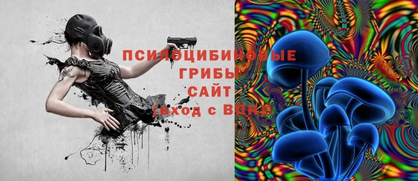 прущая мука Алексин