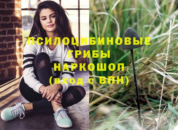 индика Алзамай