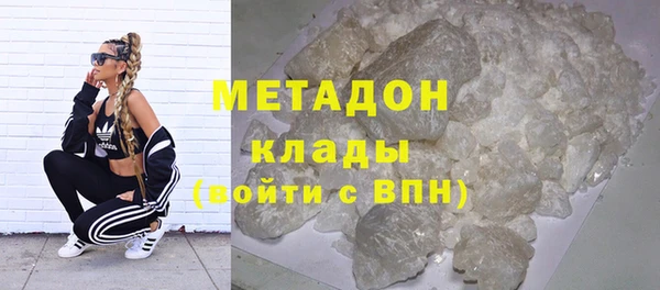 индика Алзамай