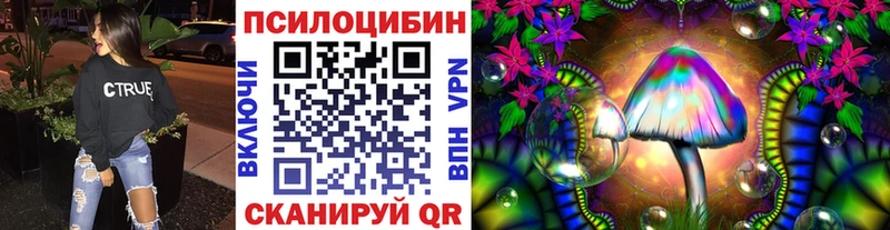 Псилоцибиновые грибы Cubensis  Бакал 